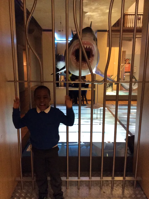 Gallery - created at 2024-02-09 11:53:37 - image 44