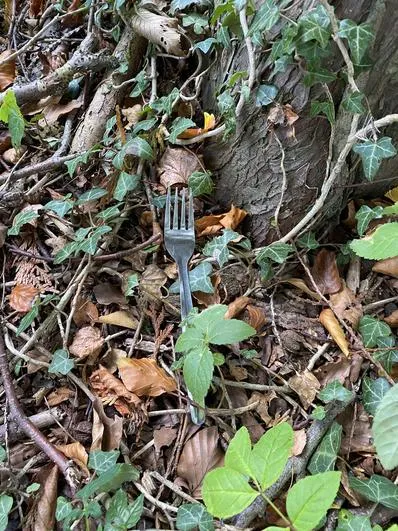 Autumn 2022 - September 14th - Acorns - Magic Corridor (objects and their materials) and Magic Pots (properties of materials) - image 1 Autumn 2022 - September 14th - Acorns - Magic Corridor (objects and their materials) and Magic Pots (properties of materials) - image 1