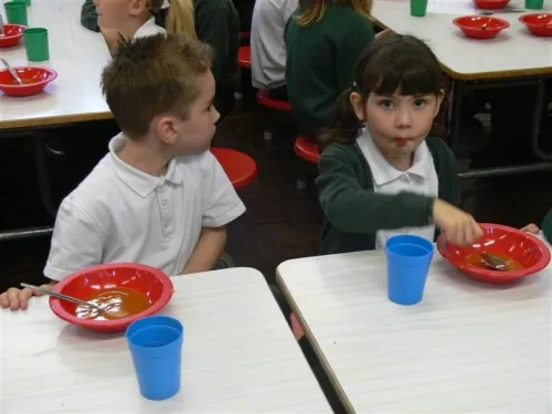 Gallery - image 5 Gallery - image 5