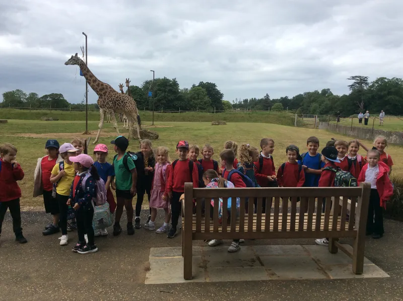Year 1 trip to Cotswold Wildlife Park - image 6 Year 1 trip to Cotswold Wildlife Park - image 6