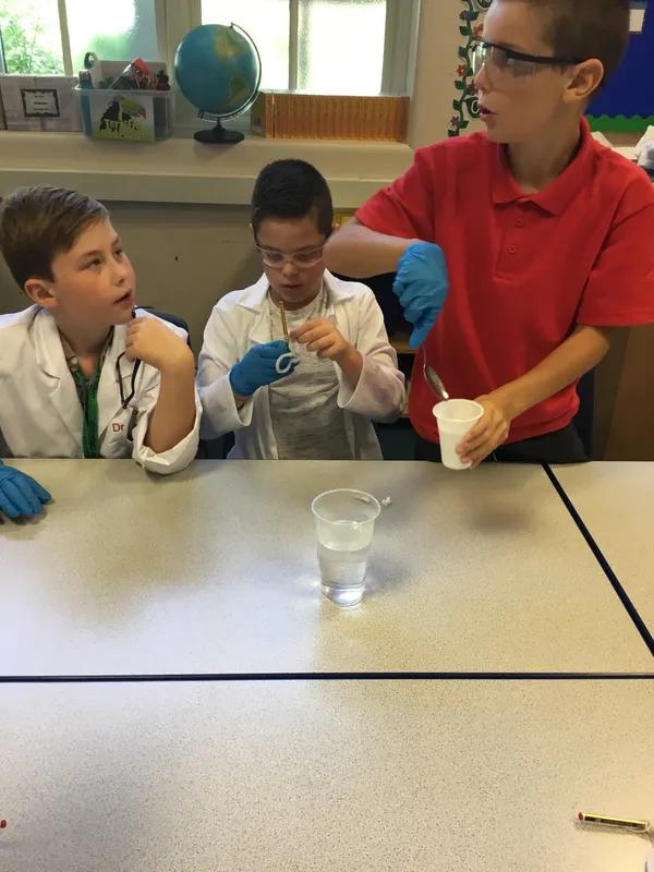 Gallery - created at 2019-09-17 19:22:10 - image 24 Gallery - created at 2019-09-17 19:22:10 - image 24