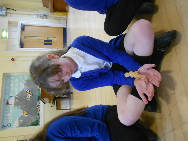 Y6 Reptile Rendezvous - image 31