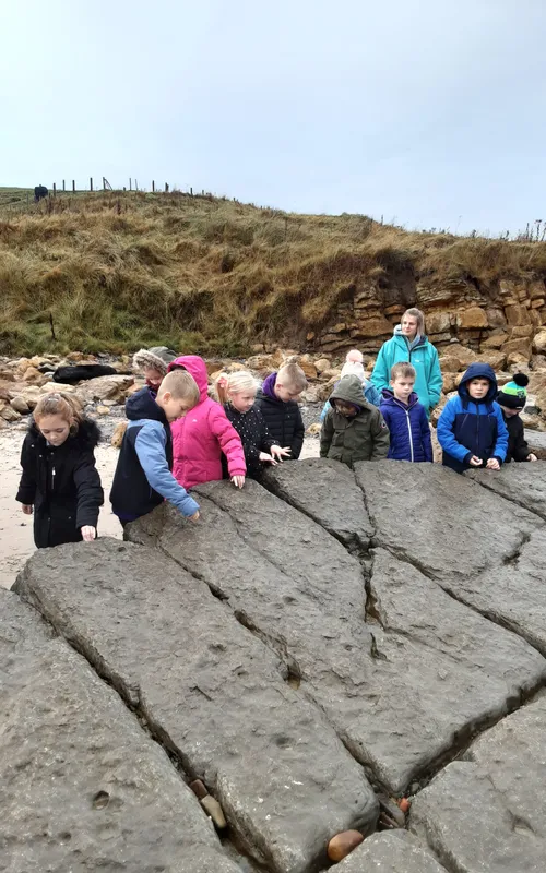 Gallery - created at 2024-10-11 14:26:20 - image 24 Gallery - created at 2024-10-11 14:26:20 - image 24