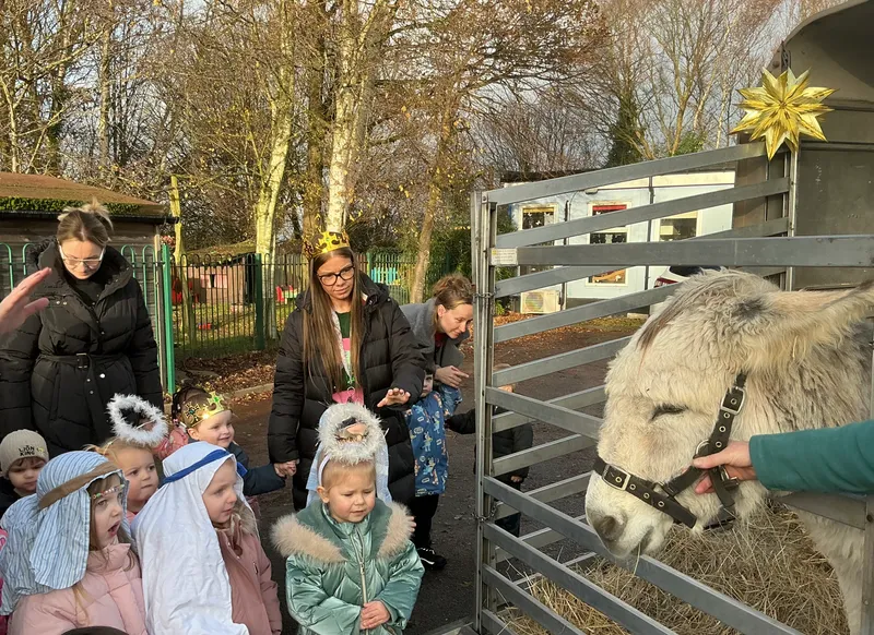 Stella farm on wheels Part 1 - image 17