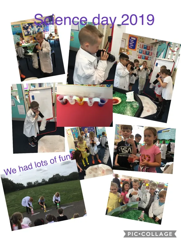 Gallery - created at 2019-09-18 20:51:50 - image 12