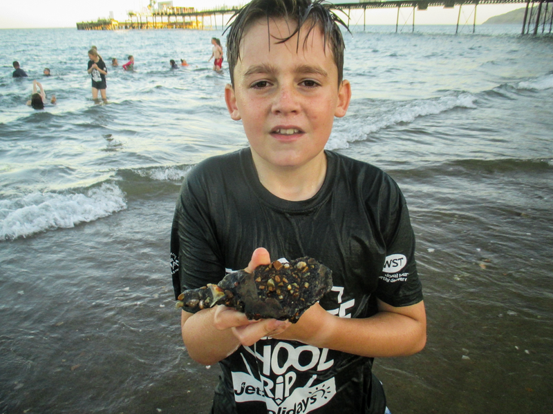 267IMG_2815.jpg