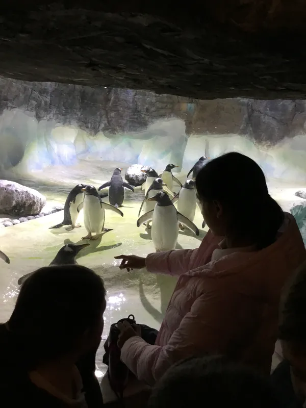 Year 5 Sealife Centre  - image 52