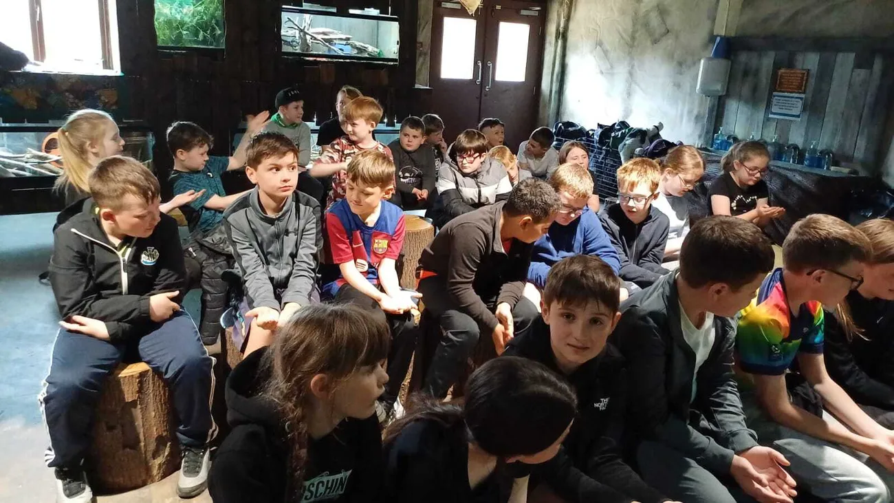 Gallery - created at 2024-06-06 15:03:55 - image 44