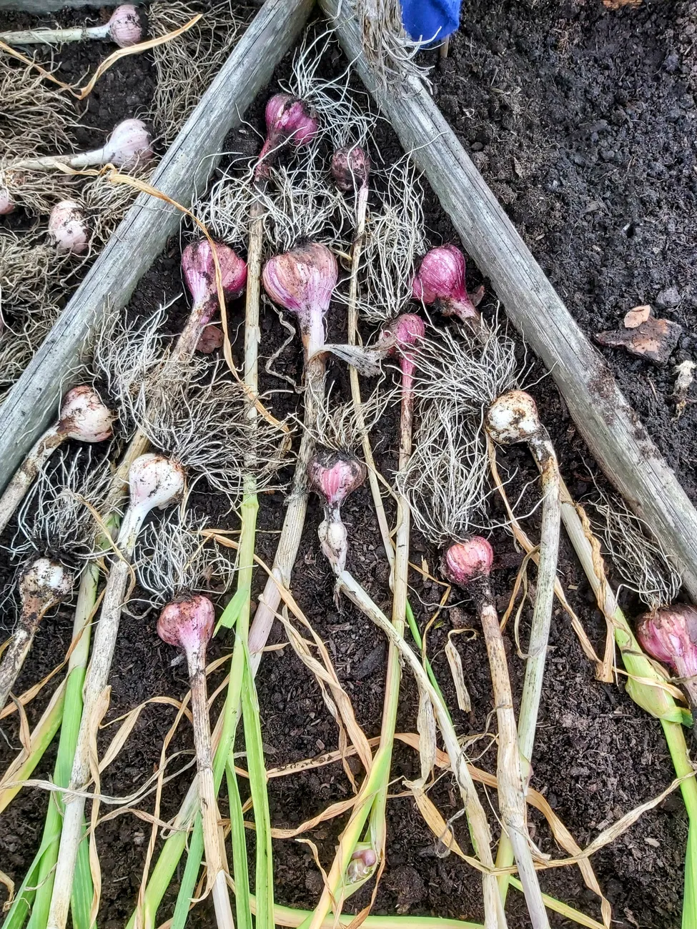 Gallery - created at 2023-09-07 16:46:06 - image 28 Gallery - created at 2023-09-07 16:46:06 - image 28