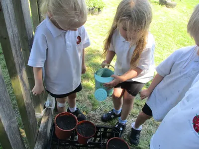 Planting - image 53