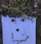 Forest School 112 - image 4 Forest School 112 - image 4