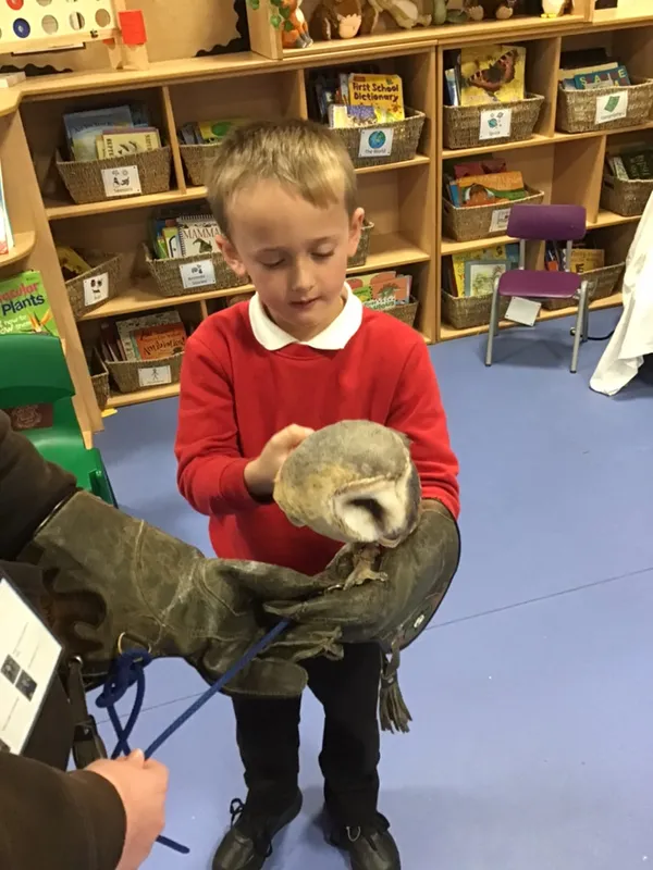 birds of prey year 1 25 - image 22 birds of prey year 1 25 - image 22