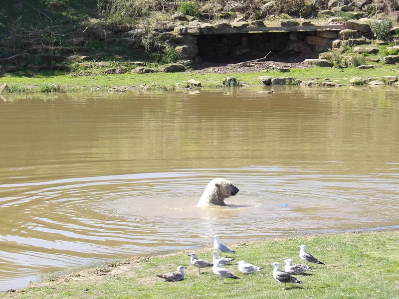 Y3 Yorkshire Wildlife Park Trip - image 7
