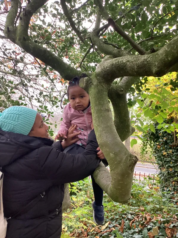 Gallery - created at 2024-11-08 10:10:59 - image 63 Gallery - created at 2024-11-08 10:10:59 - image 63