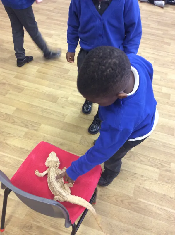 Gallery - created at 2024-03-05 13:52:56 - image 24 Gallery - created at 2024-03-05 13:52:56 - image 24