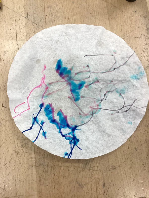 Science Week 2026 - image 58