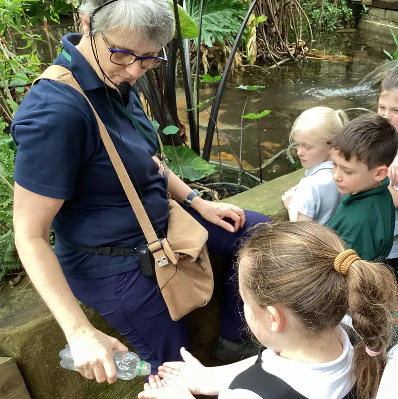 Gallery - created at 2025-03-14 10:11:21 - image 2 Gallery - created at 2025-03-14 10:11:21 - image 2