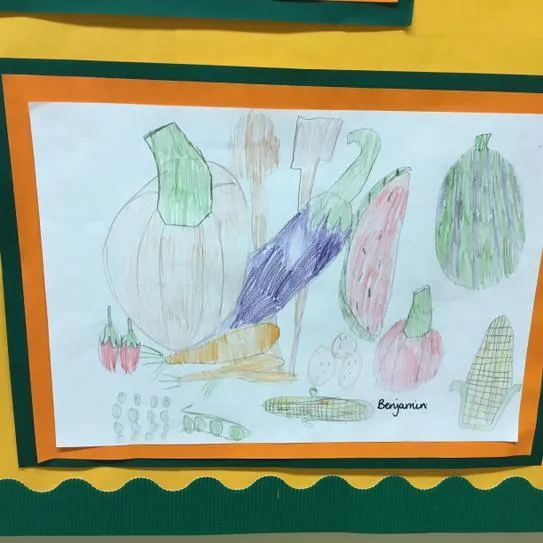 Gallery - created at 2020-11-25 11:41:31 - image 23