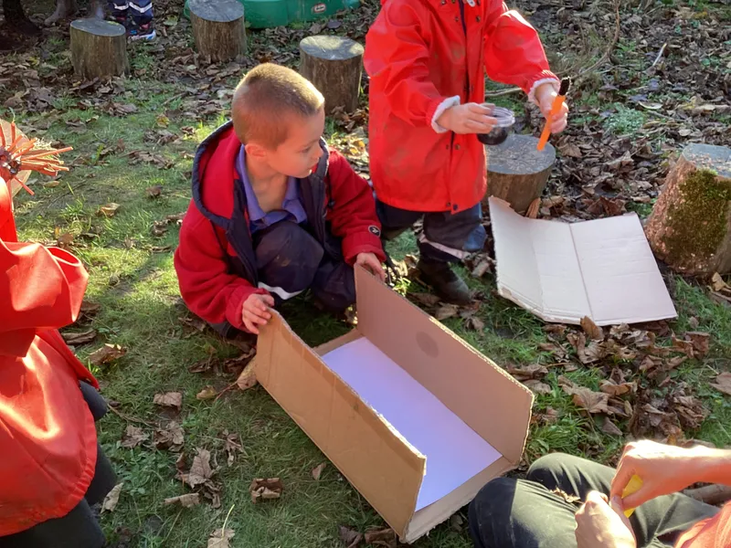 Gallery - created at 2025-02-25 16:17:58 - image 8