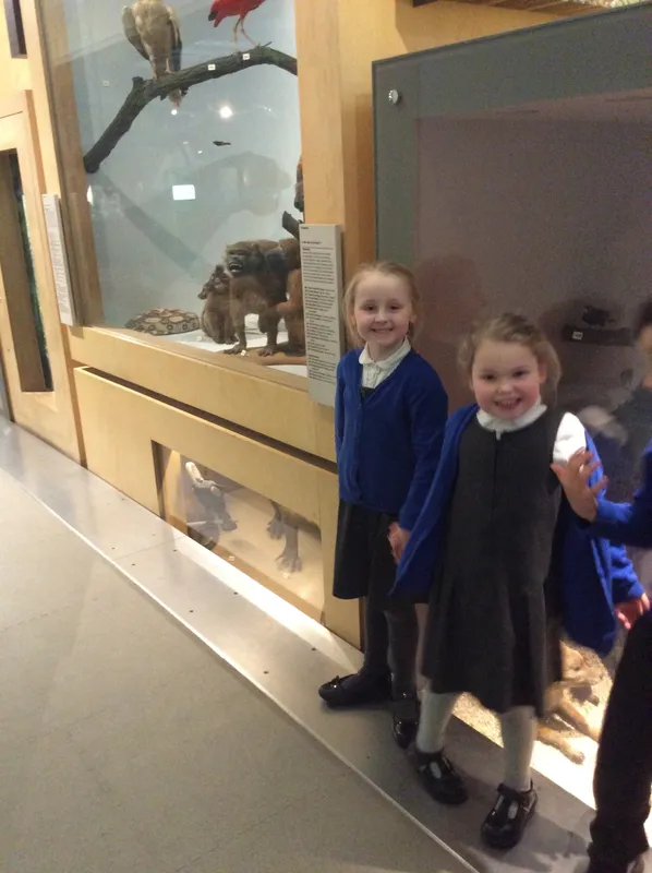 Gallery - created at 2024-02-09 11:53:37 - image 32