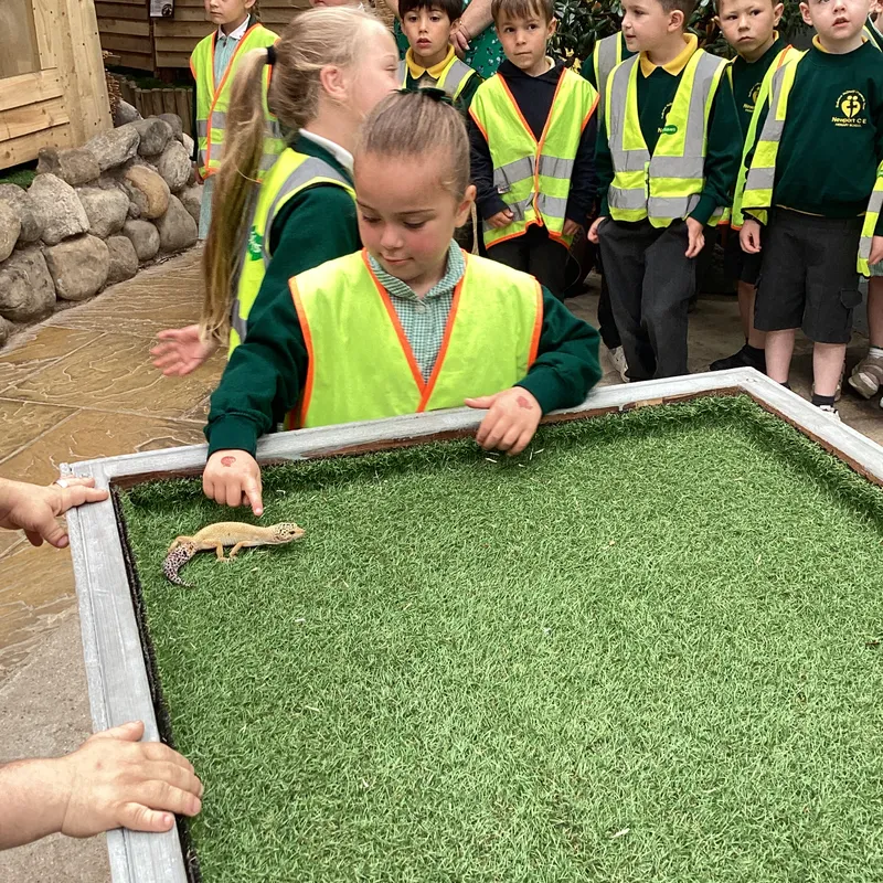 EYFS at Butterfly World - image 6