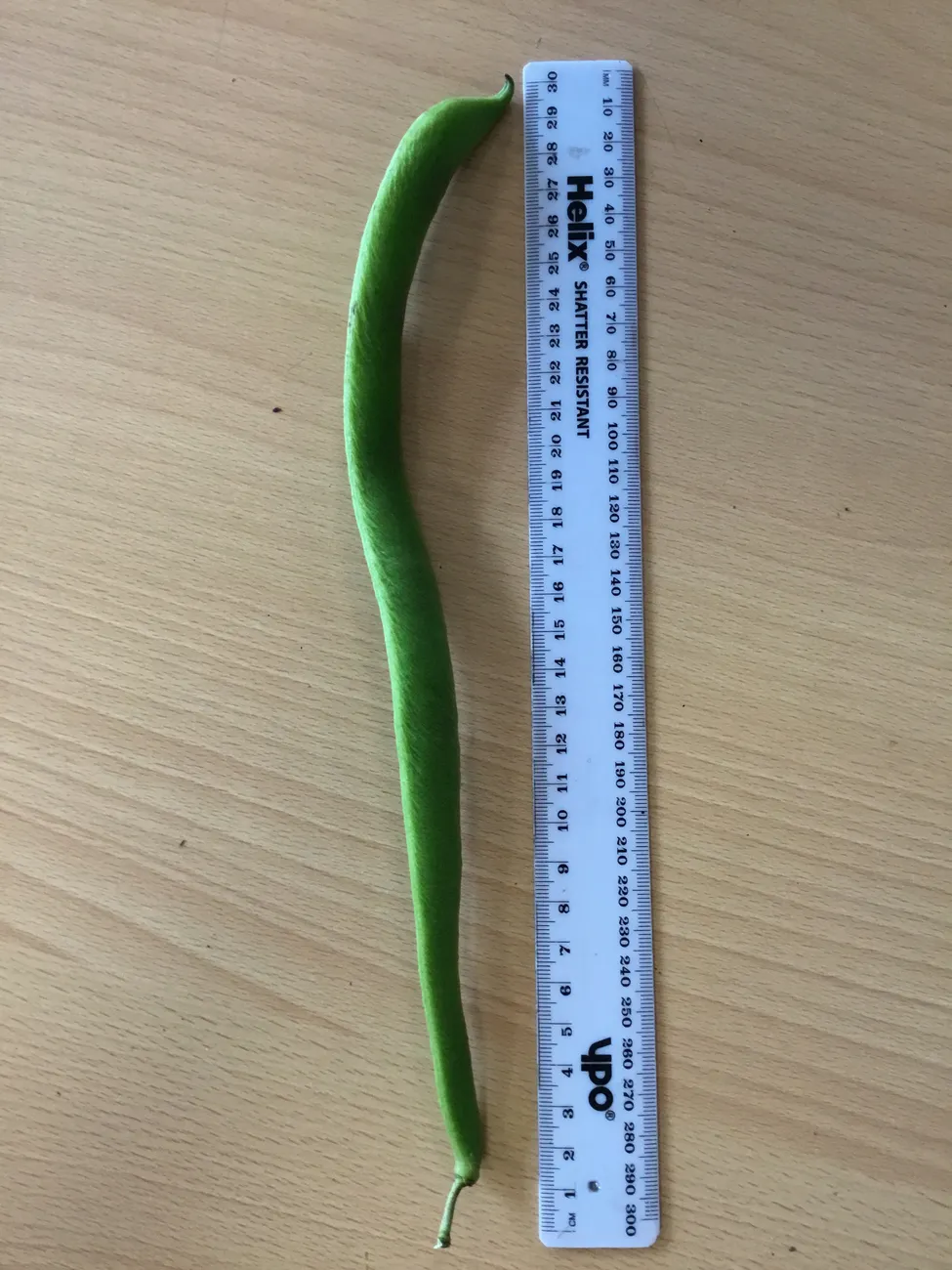 Gallery - created at 2023-09-07 16:46:06 - image 12 Gallery - created at 2023-09-07 16:46:06 - image 12