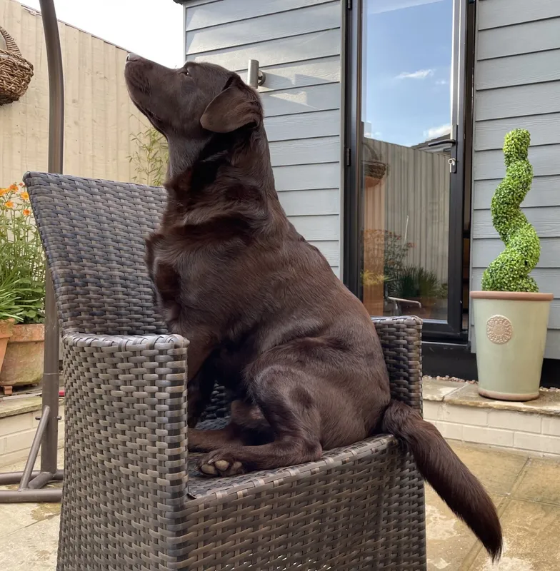 Gallery - created at 2021-06-30 13:57:57 - image 24