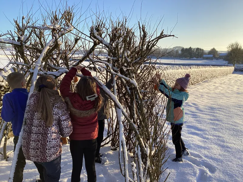 Gallery - created at 2025-02-25 16:17:58 - image 12