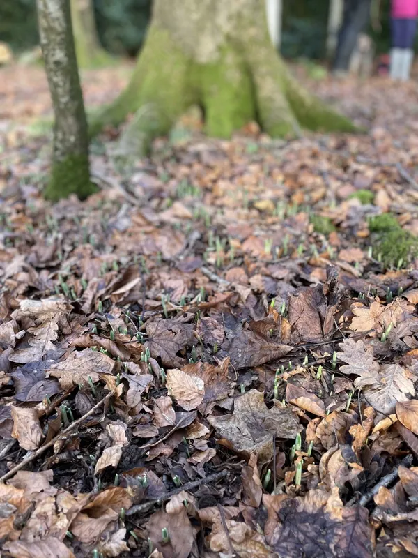 Gallery - created at 2023-01-13 16:15:20 - image 4 Gallery - created at 2023-01-13 16:15:20 - image 4