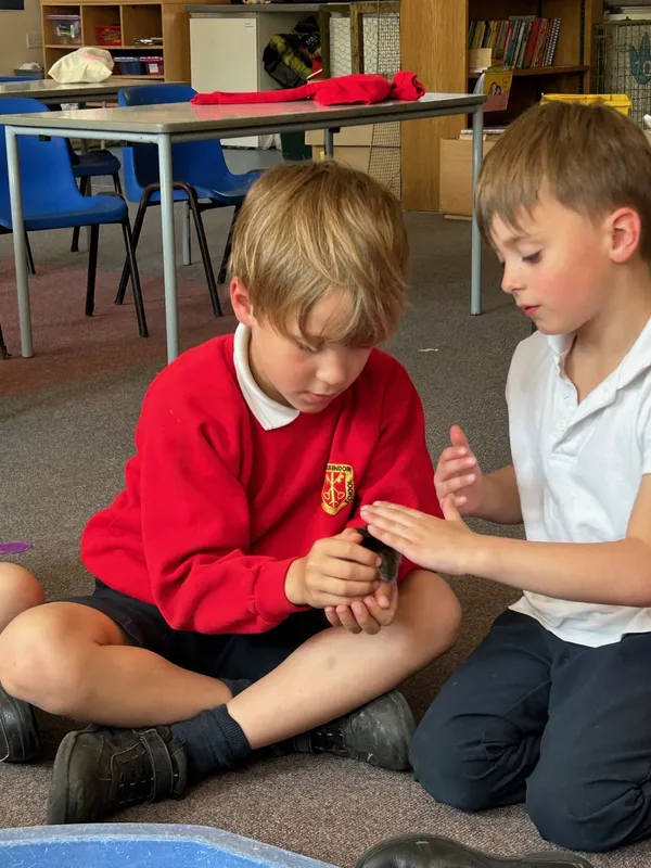 Gallery - created at 2025-05-15 20:09:46 - image 16