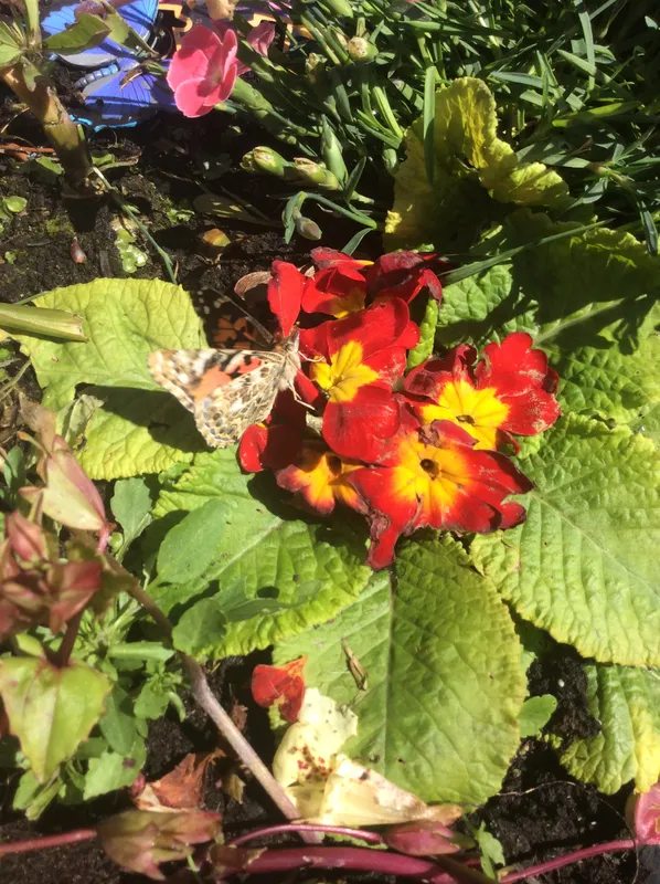 Gallery - created at 2019-06-28 13:42:21 - image 41 Gallery - created at 2019-06-28 13:42:21 - image 41
