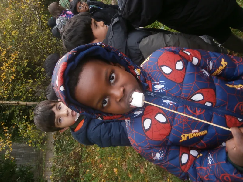 Forest School Fun Year 1 - image 27 Forest School Fun Year 1 - image 27