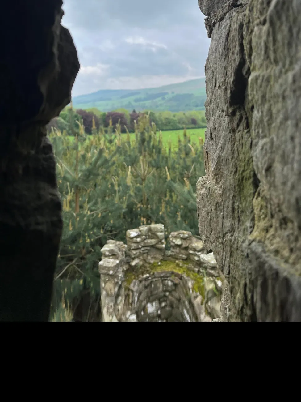 Gallery - created at 2024-06-06 15:19:10 - image 8