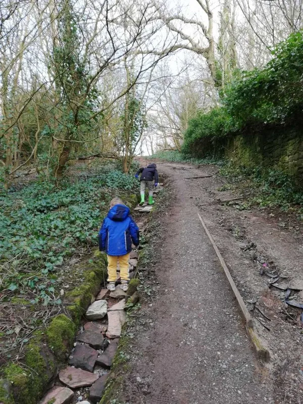 Gallery - created at 2021-03-29 18:46:28 - image 4