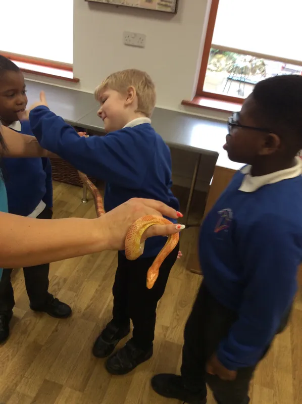 Gallery - created at 2024-02-26 17:15:57 - image 82 Gallery - created at 2024-02-26 17:15:57 - image 82