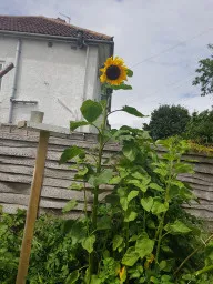 Gallery - created at 2020-07-23 17:35:50 - image 4