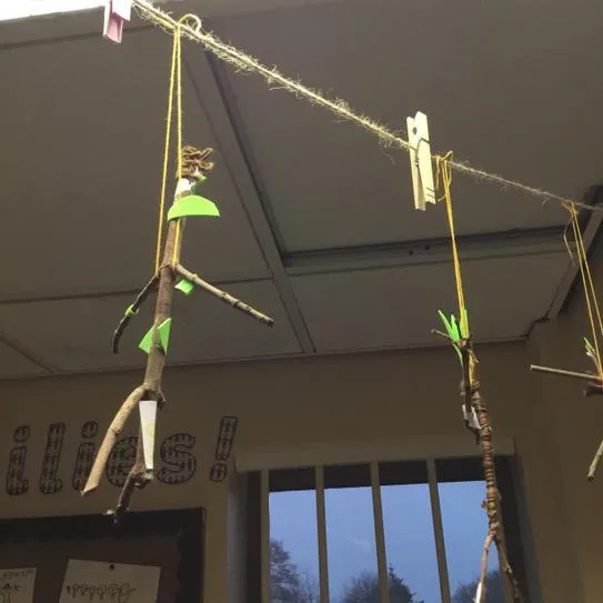 Gallery - created at 2020-11-25 11:13:41 - image 24