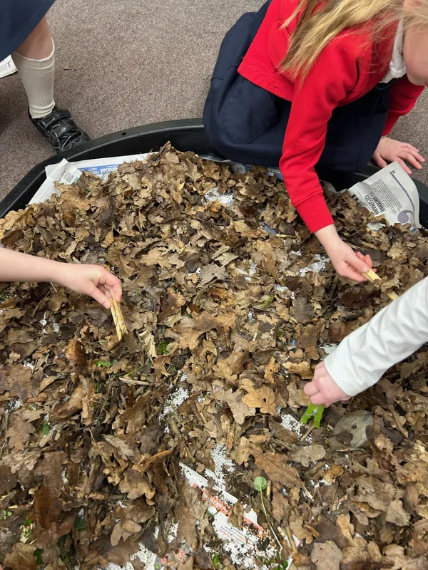 Science Week  - image 6