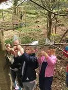 Forest School 132 - image 1 Forest School 132 - image 1