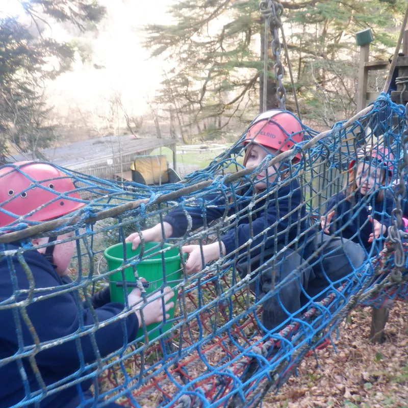 Gallery - created at 2025-02-27 19:57:56 - image 2