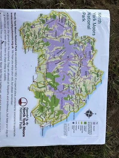 Summer 2023 - 21st June - Oaks - Stoupe Brow Moorland Walk - wildlife, map work (National Parks) - image 3 Summer 2023 - 21st June - Oaks - Stoupe Brow Moorland Walk - wildlife, map work (National Parks) - image 3