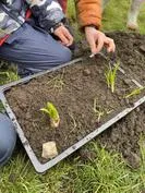 Forest School 106 - image 1 Forest School 106 - image 1