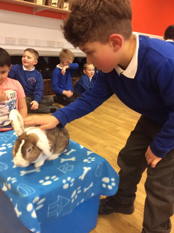 Gallery - created at 2024-03-05 13:52:56 - image 70 Gallery - created at 2024-03-05 13:52:56 - image 70