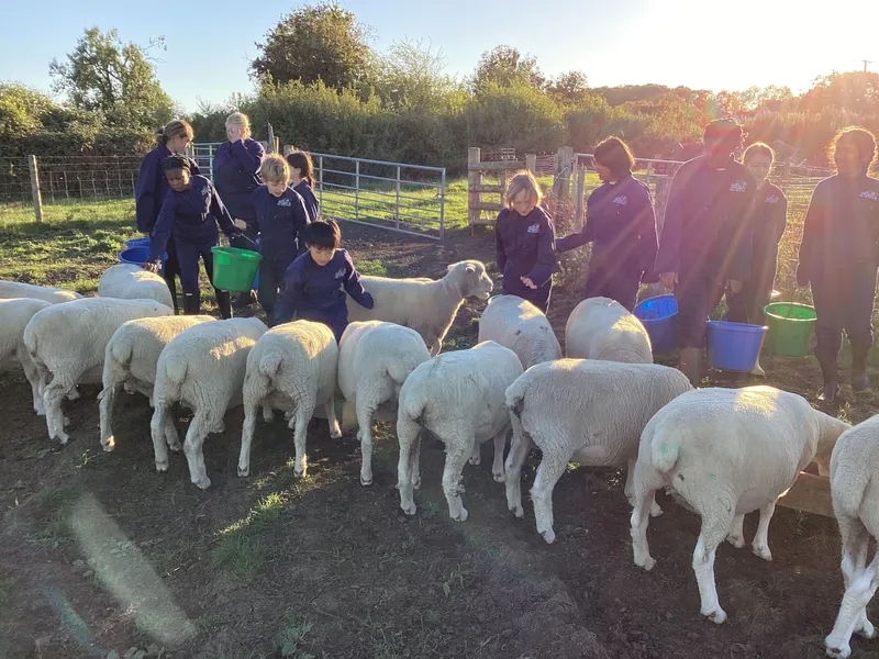 Farm Trip 2025 - image 3