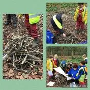 Forest School 14 - image 3 Forest School 14 - image 3
