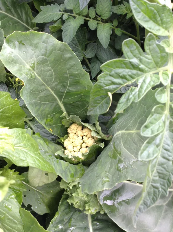 Gallery - created at 2020-03-17 10:48:57 - image 1 Gallery - created at 2020-03-17 10:48:57 - image 1