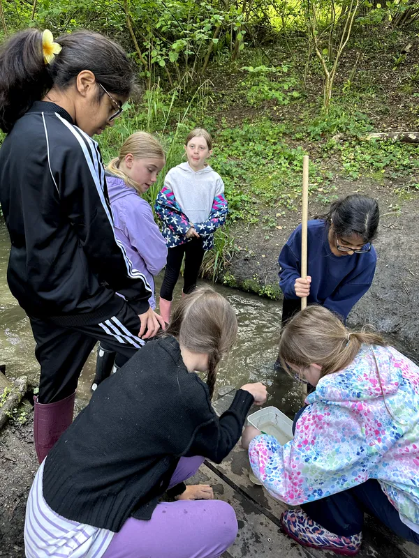 Drews Pond Woods - image 24