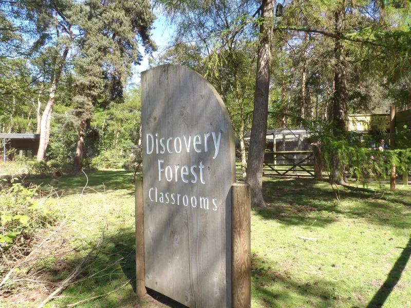 Y3 Yorkshire Wildlife Park Trip - image 60