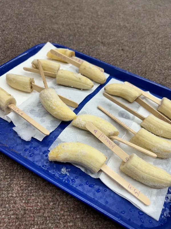 Gallery - created at 2025-01-31 12:35:23 - image 26