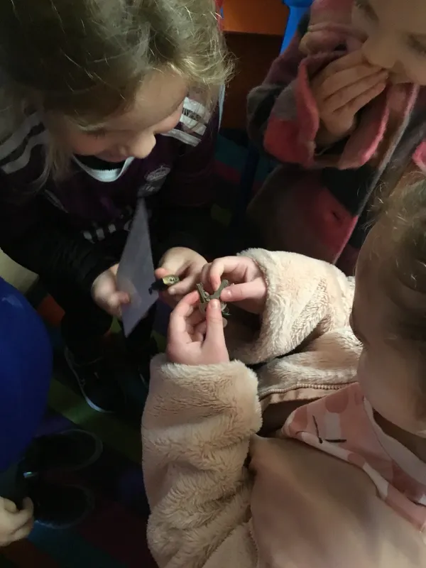 Gallery - created at 2024-03-01 11:02:20 - image 16 Gallery - created at 2024-03-01 11:02:20 - image 16